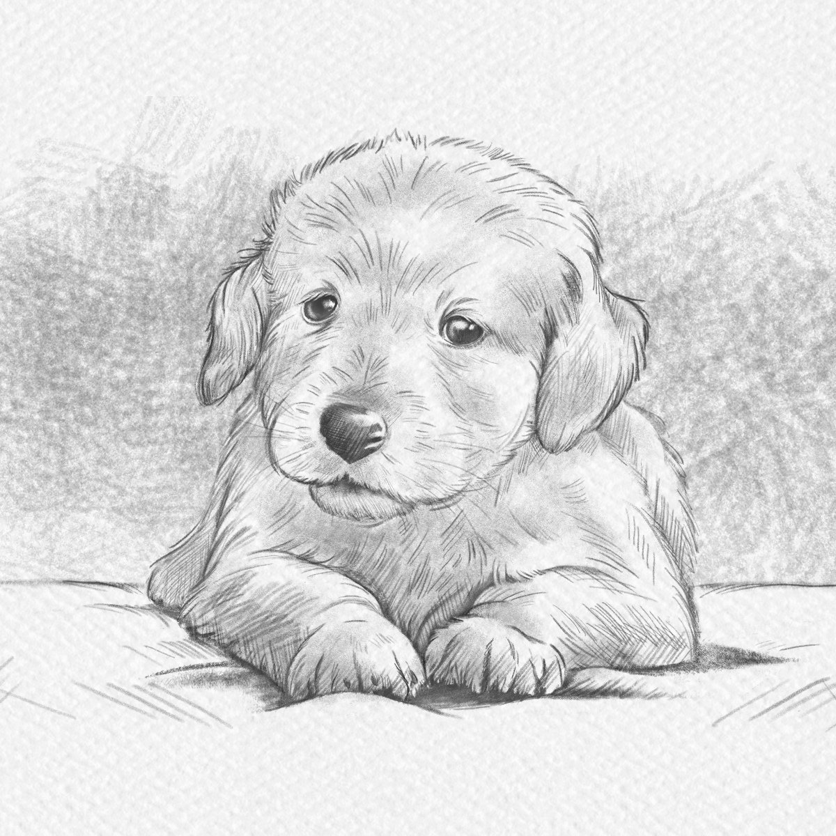 Mehr über den Artikel erfahren Animal Care e.V.